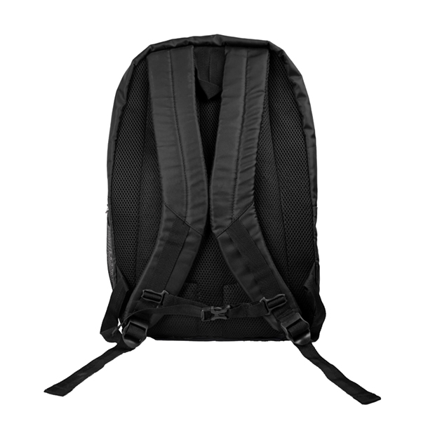 1st image description